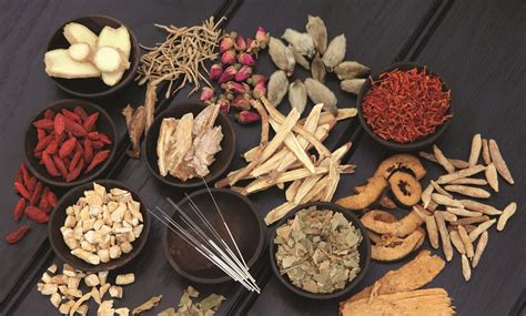  Vietnamese Herbal Medicine: A Vital Guide to Traditional Healing Practices!